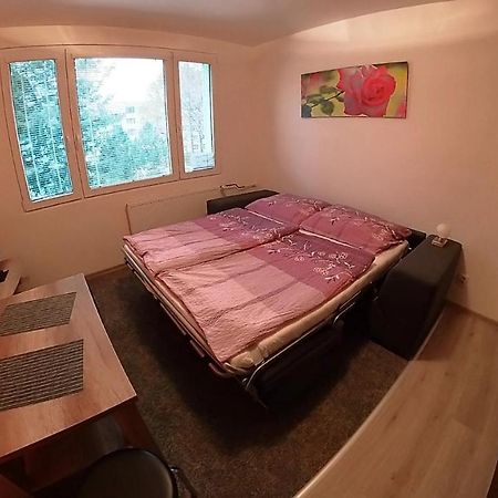 Garsonka Hlinik Apartment Trebon Bagian luar foto