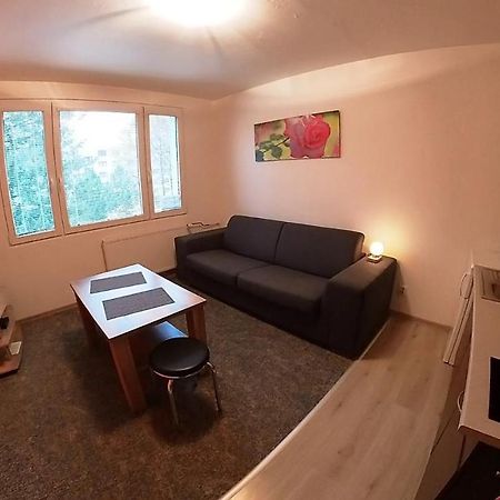 Garsonka Hlinik Apartment Trebon Bagian luar foto