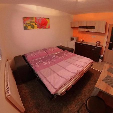 Garsonka Hlinik Apartment Trebon Bagian luar foto