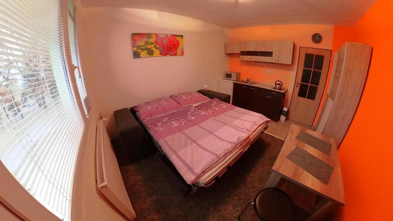 Garsonka Hlinik Apartment Trebon Bagian luar foto