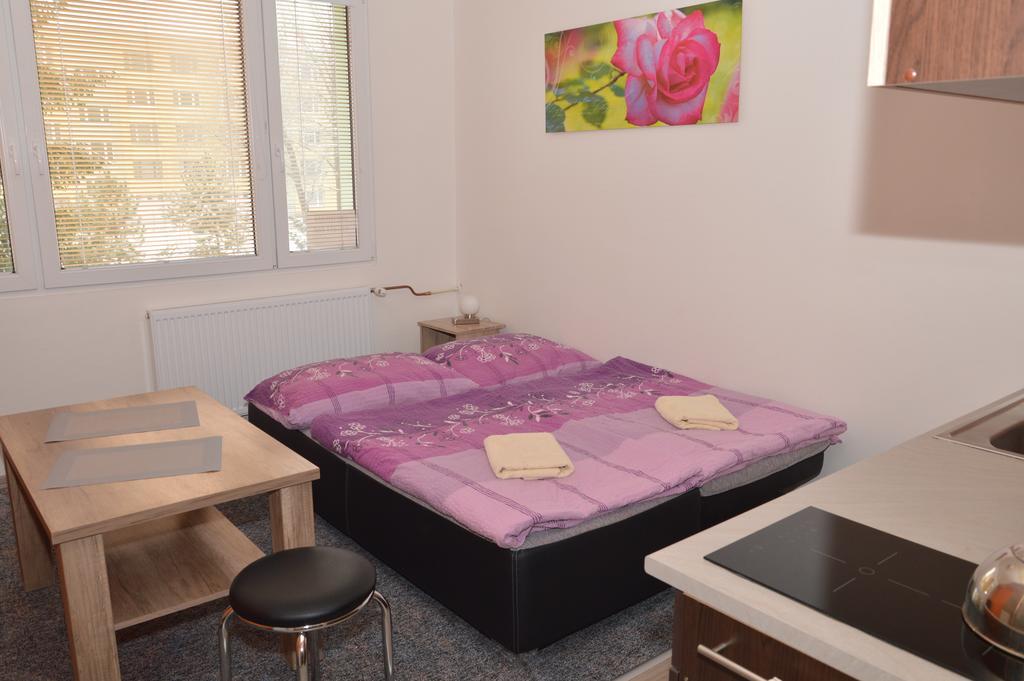 Garsonka Hlinik Apartment Trebon Bagian luar foto